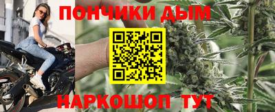 шишки Свободный