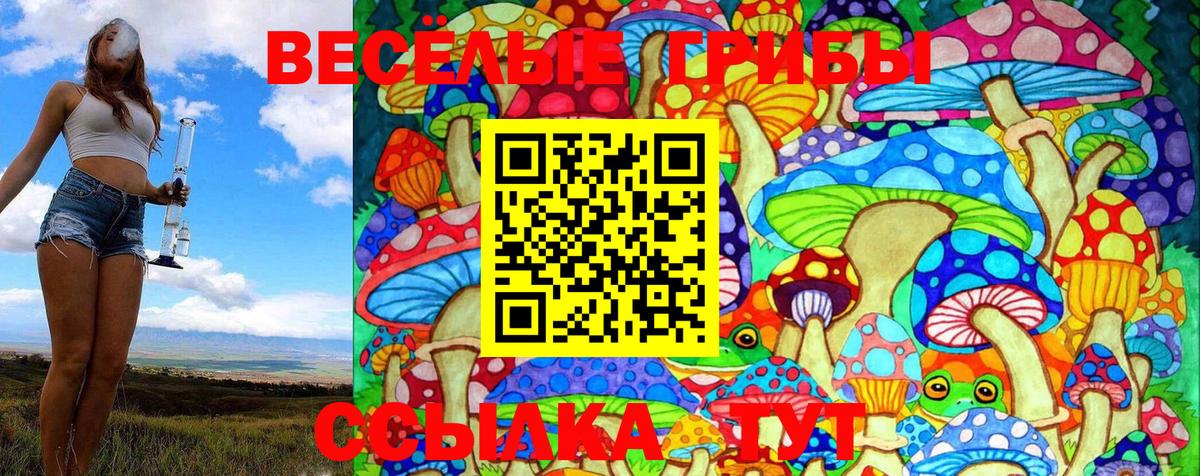 Полевской  Псилоцибиновые грибы MAGIC MUSHROOMS  Вход с VPN  Псилоцибиновые грибы мухоморы 