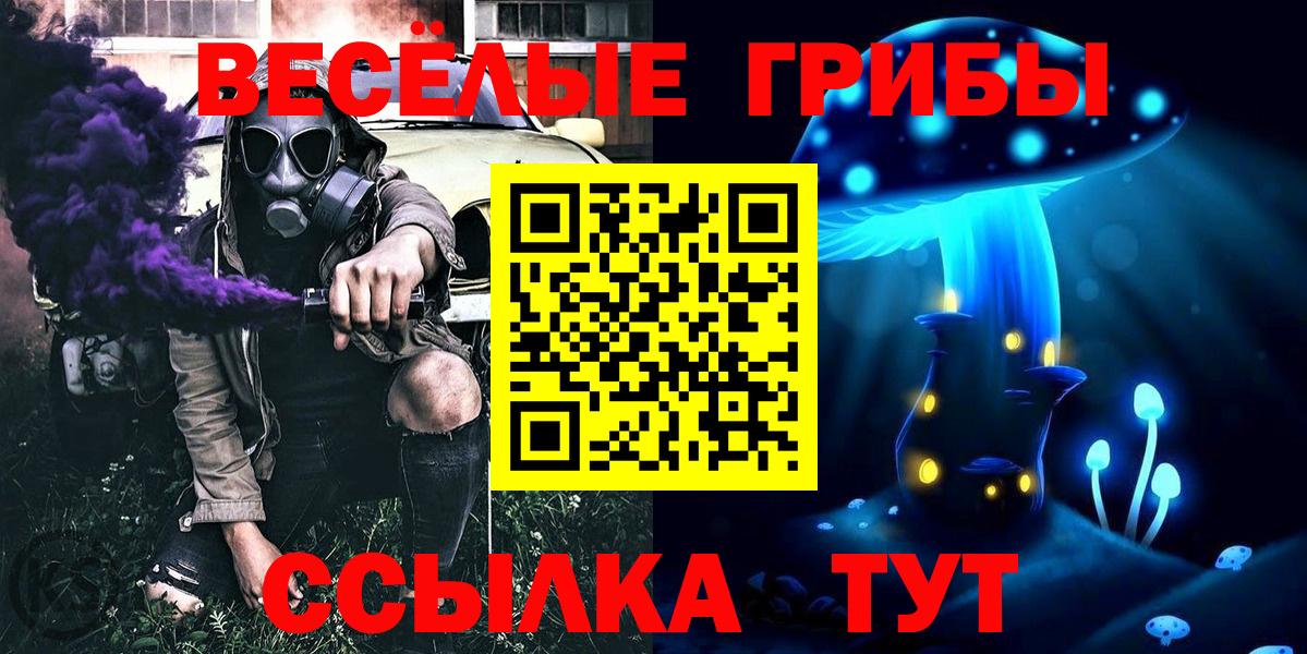 Галлюциногенные грибы мицелий Полевской